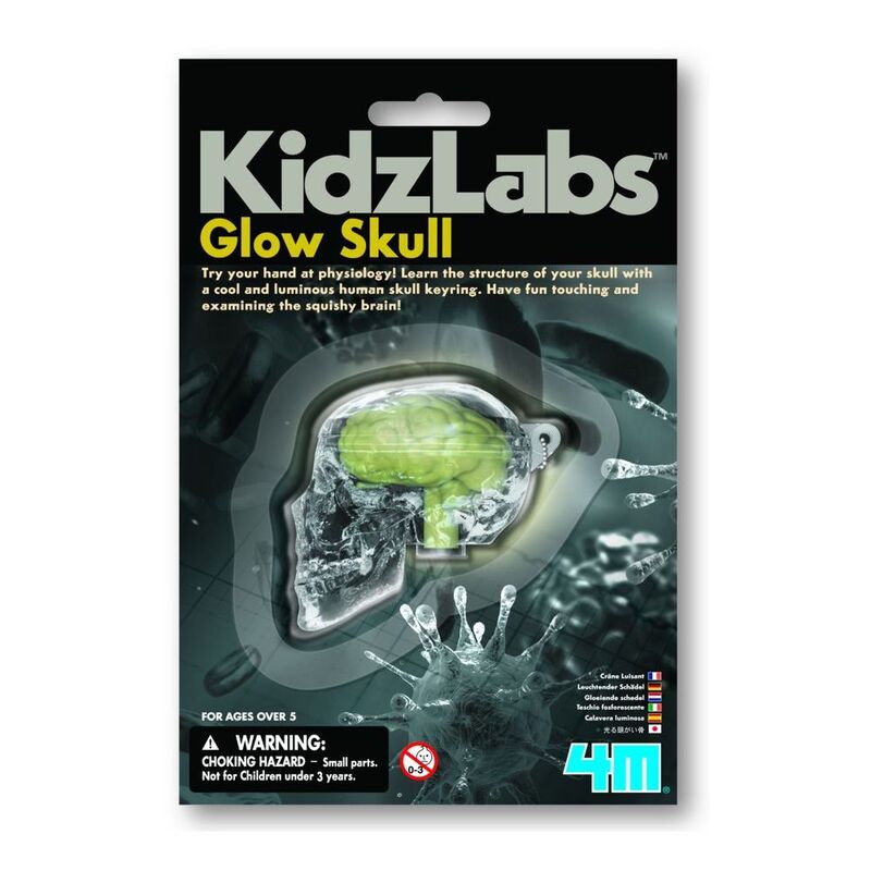 4M Kidzlabs Glow Skull