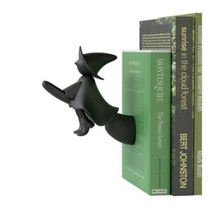 Fisura Witch Bookend
