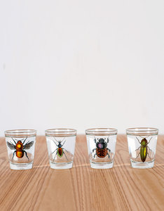 Magpie Curios Mini-Glasses Insects (Set of 4)