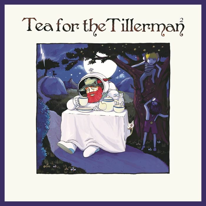Tea For The Tillerman 2 Limited Edition | Cat Stevens