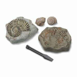 لعبة مجموعة أدوات التنقيب عن الأحفوريات الصغيرة من ديسكفري مايندبلون