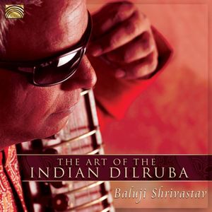 The Art of The Indian Dilruba | Various Artists