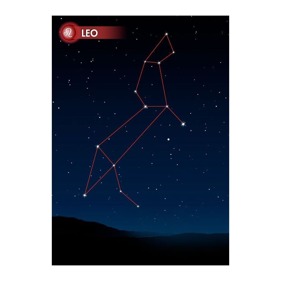 Zodiac Sign Leo Postcard