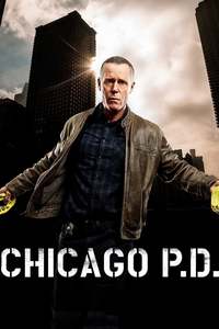 Chicago P.D. Season 4 (6 Disc Set)