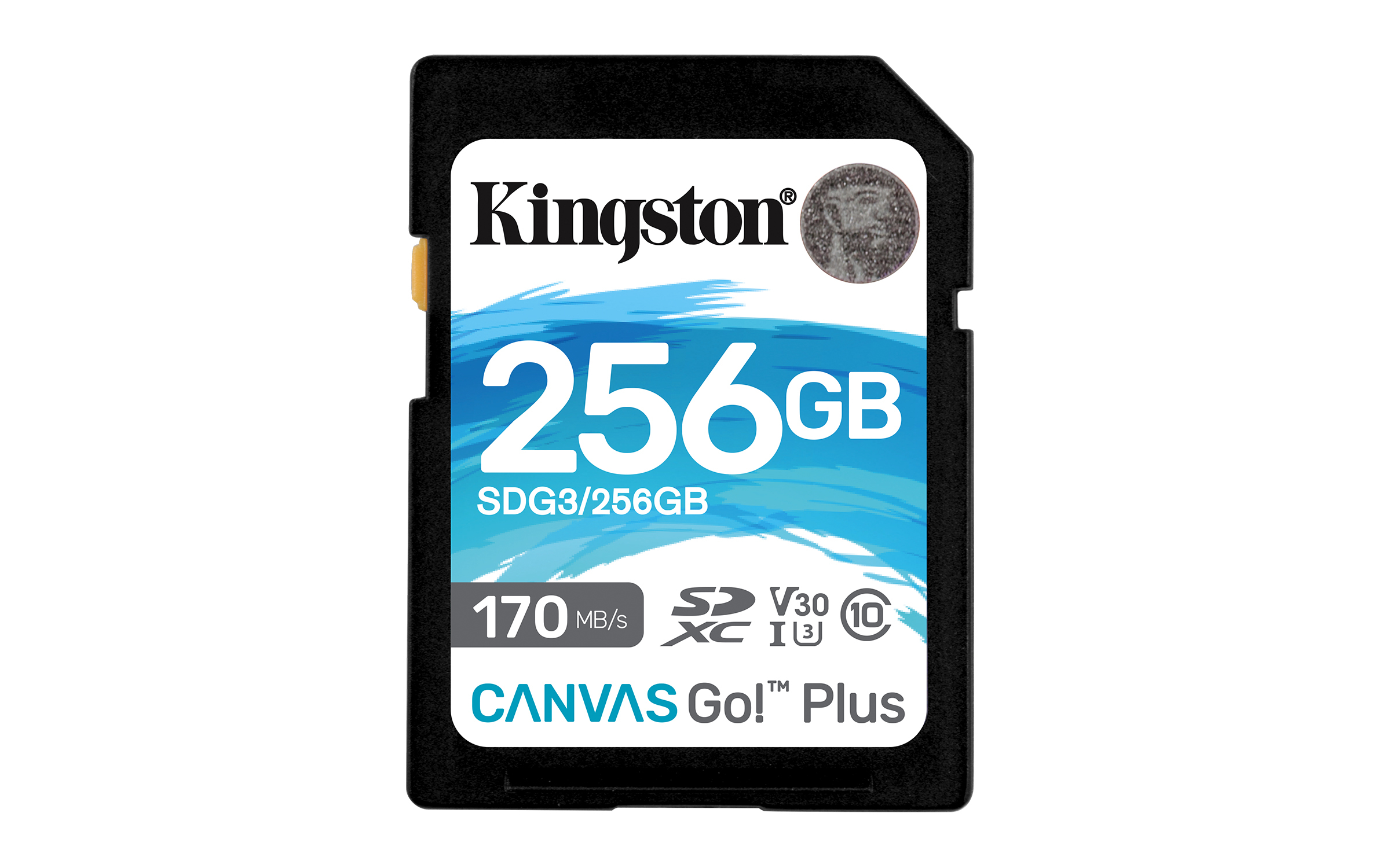 Kingston 256GB Canvas Go Plus UHS-I SDXC Memory Card