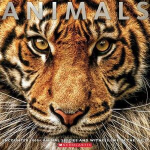 Animals | Sean Callery