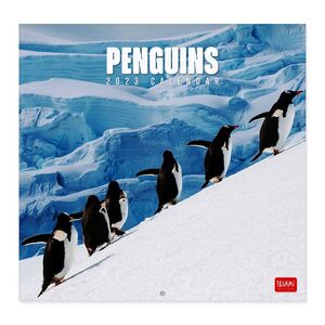 Legami Calendar 2023 (30 x 29 cm) - Penguins