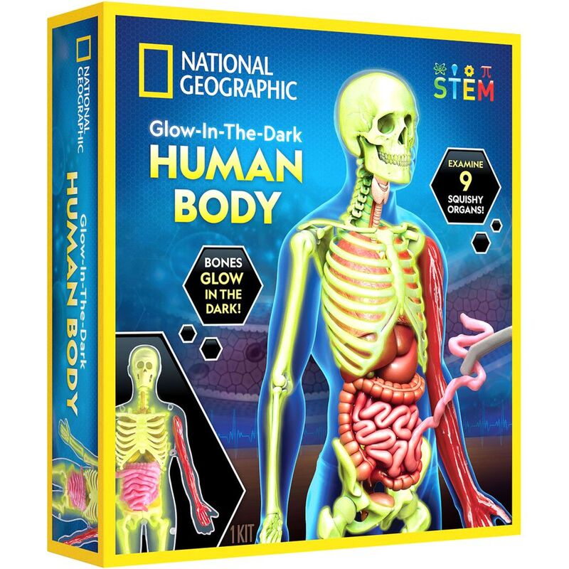National Geographic Glow-In-The-Dark Human Body