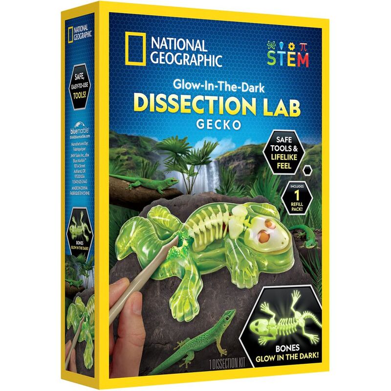 National Geographic Glow-In-The-Dark Dissection Lab Gecko