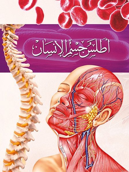 أطلس جسم الإنسان | دار الشرق العربي