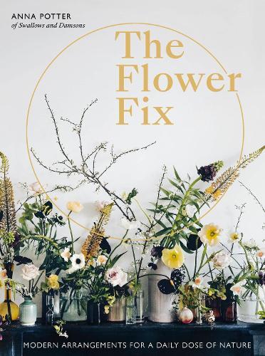 Flower Fix Modern Arrangements For A Daily Dose of Nature | Anna Potter