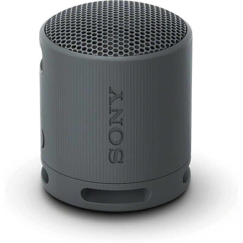 Sony SRS-XB100 Portable Wireless Speaker - Black