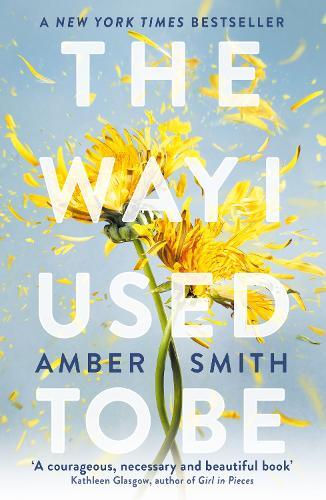 The Way I Used To Be | Amber Smith
