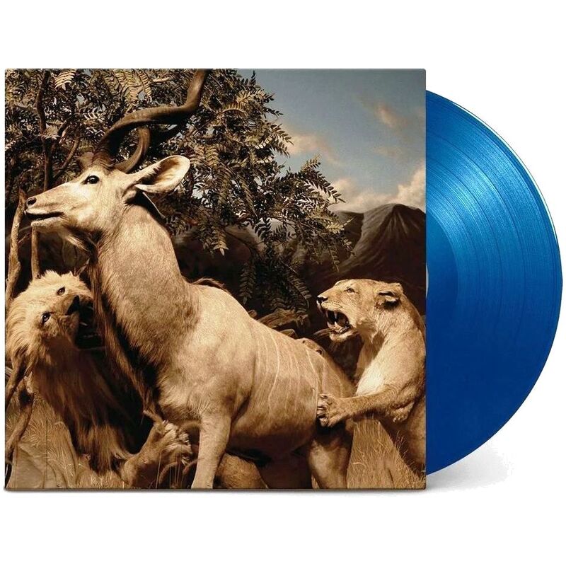 Our Love To Admire (2 Discs) (Limited Edition) (Blue Colored Vinyl) | Interpol