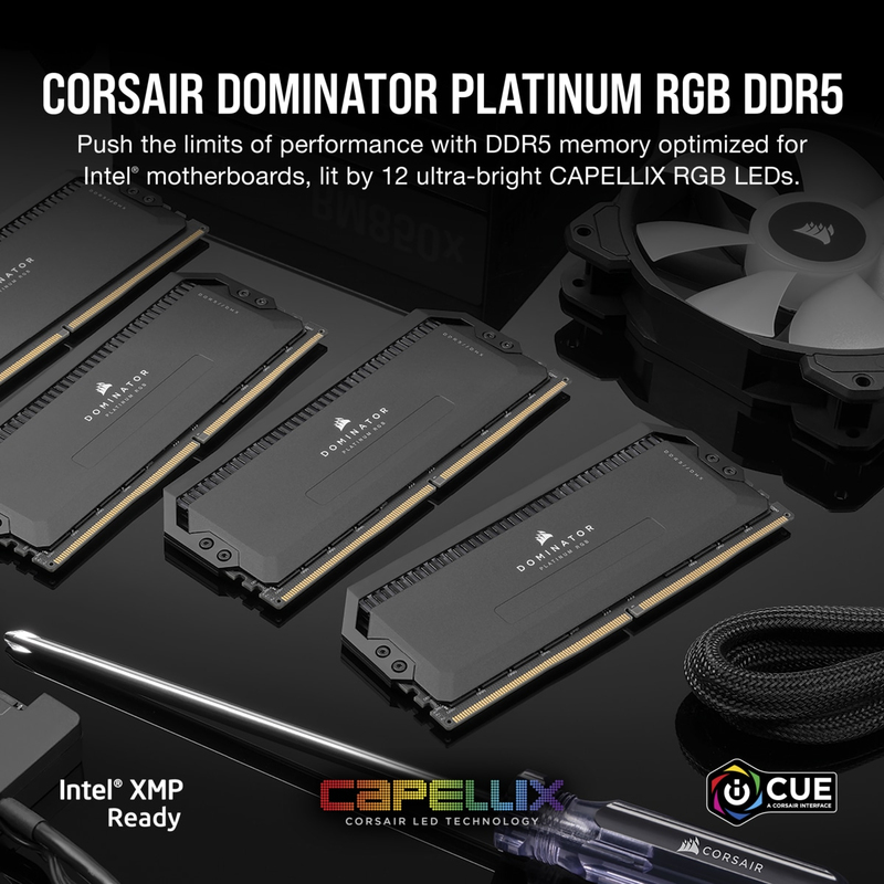 Corsair Dominator Platinum RGB 32GB (2x16GB) DDR5 6000MHz - Black