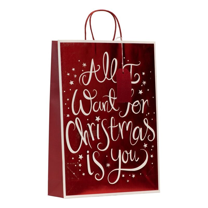 Design By Violet Christmas Gift Bag - All I Want - X-Large