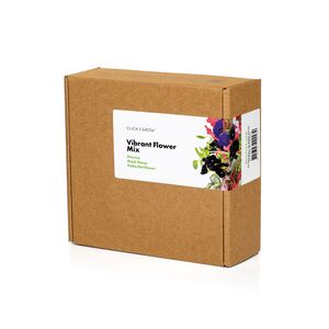 Click & Grow Vibrant Flower Mix Smart Garden refill (Pack 0f 9)