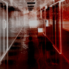 special interest films